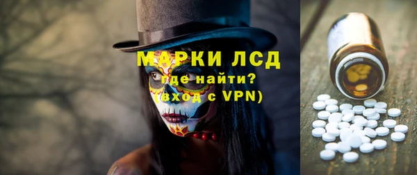 ПСИЛОЦИБИНОВЫЕ ГРИБЫ Абаза