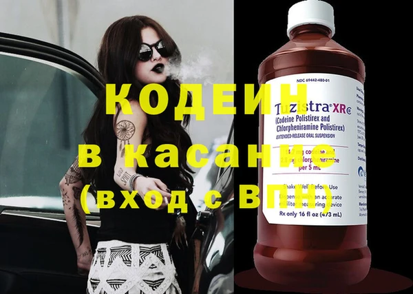 сатива Абинск
